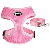 BINGPET Small Dog Harness and Leash - Soft Puppy Vest for Cat, Pink XS