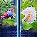 4 Pieces Betta Bed Leaf Hammock for Betta Fish, Lightweight and Realistic Resting Spot, No BPA, Practical, Comfortable and Safe (Double Leaf)thumb 4