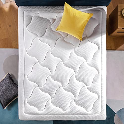 ZINUS 10 Inch Cloud Memory Foam Mattress / Pressure Relieving / Bedin