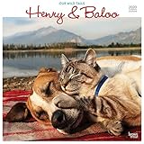 Henry & Baloo - Our Wild Tails 2020 12 x 12 Inch Monthly Square Wall Calendar, Outdoor Nature Dog Ca by