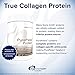 Designs for Health Bone Broth Protein Powder – PurePaleo Chocolate with Collagen Peptides & BCAA (810 Grams)thumb 1