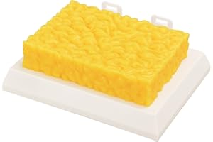 SimCoach Human Body Fat Replica 1 Lb, Keep Fit & Weight Loss Motivation & Reminder, Silicone Human Fatty Tissue Demonstration Model for Nutritionist, Athlete