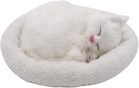 caine boo pomeranian