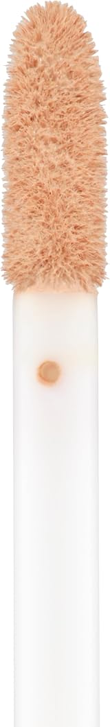 Collection Lasting Perfection Concealer 16 Hour Fair 4ml Full Coverage Buildable view 3