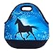 iColor Neoprene Lunch Bag, Kids Thermal Lunch Tote Bag, Lunch Box Food Container, Insulated Soft Lunchbox, Food Storage Cooler - Great for Boys, Girls (Running Horse) HST-LB-123