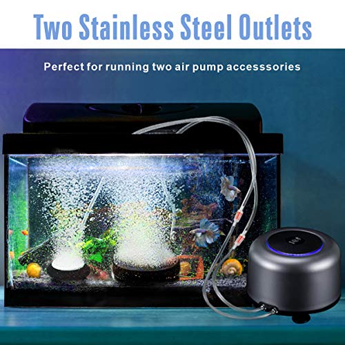AQQA Air Pump for Aquariums,Fashion Ultra-Quiet Energy-Saving Oxygen Pump Adjustable 4 Flow Rate Grades,Powerful Dual Outlets,Freshwater and Marine Fish Tank (5W (up to 300 Gallon), Silver)