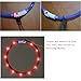 BSEEN Light Up Dog Collar, Glowing LED Dog Collar Rechargeable Cuttable Lighted Puppy Collar Safety Dog Lights Makes Your Beloved Dogs Be Seen at Night(Orange)