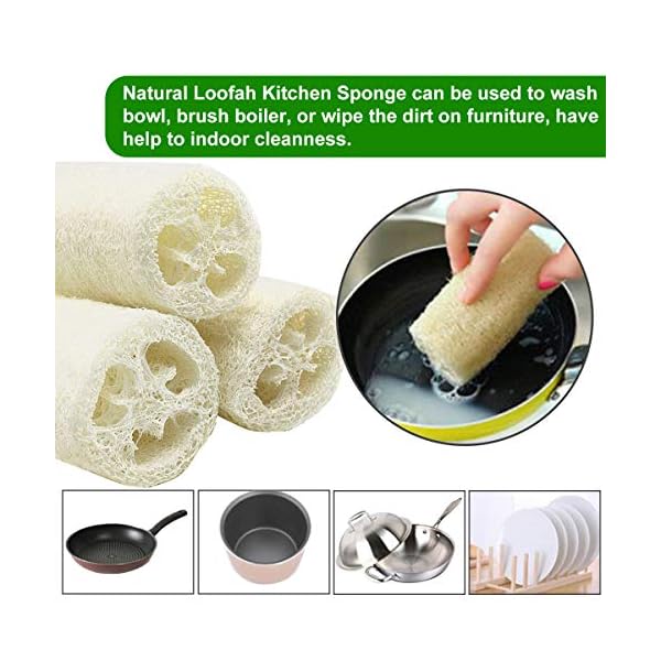 6-PCS-Natural-Loofah-Exfoliating-Luffa-Natural-Loofah-Sponge-Body-Scrubber-for-Bathing-and-Back-Caring-Spa-4-inch-Length-Organic-Loofah-Loofahs-Sponges-for-Shower-Scrubbing-and-Kitchen-Cleaning 6 Pcs Natural Loofah, Exfoliating Luffa Natural Loofah Sponge Body Scrubber For Bathing And Back Caring Spa, 4 Inch…