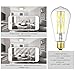 LEOOLS Dimmable E26 LED Filament Light Bulbs, 100 Watt Equivalent,5000K Daylight White,Classic Clear Glass Edison Style Vintage LED Light Bulbs,4 Pack