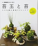 Image de Mossball and Moss ~Cultivation Method for Moss Bonsai~