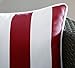 Ornavo Home Water Resistant Indoor/Outdoor Square Patio Decorative Stripe Throw Pillow Cushion - Insert Included - Set of 2 - 18
