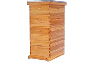POLLIBEE 8 Frame Bee Hive Beeswax Coated Complete Bee Hives Includes Bee Frames and Waxed Foundations (2 Deep Boxes & 2 Medium Boxes)
