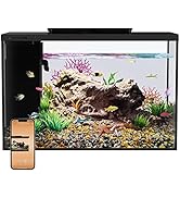 Amazon Eraark水槽 アクアリウム ベタ水槽セット 熱帯魚 メダカ水槽飼育セット 金魚鉢 スマートな水槽 Ledライト 水槽用フィルター 水槽用装飾サンゴ ウォーターポンプ付き 容量約15リットル ブルー Eraark 水槽 通販