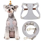 Puppytie No Pull Small Dog Harness with