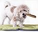 Downtown Pet Supply - Monster Yak Cheese Himalayan Dog Chews & Braided Bully Stick Dog Treats - Dog Dental Care & Plaque Remover for Teeth - Rawhide Free Dog Chews - Zinc, Calcium, Vitamin D - 1pk