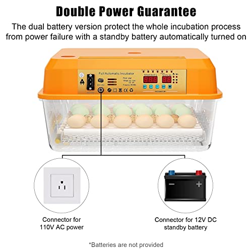 PaTunTEK Incubators for Hatching Eggs, 36 Eggs Incubators with