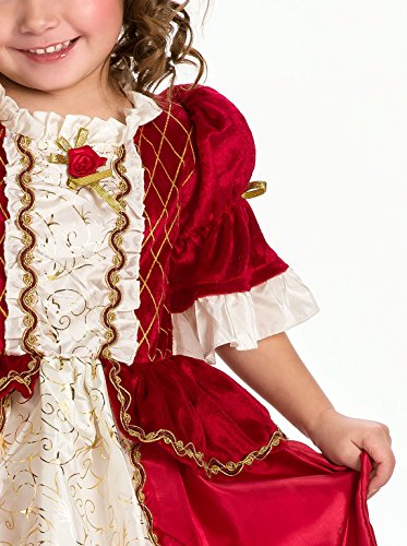 Little Adventures Traditional Winter Beauty Girls Princess Costume - Large (5-7 Yrs)