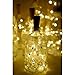 8 Pack 20 LED Wine Bottle Cork Lights, Fairy Mini String Lights Copper Wire, Battery Operated Starry Lights for DIY, Christmas, Halloween, Wedding, Party, Indoor&Outdoor (8 Pack, Warm White)