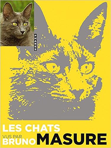 Amazon Com Les Chats Vu Par Bruno Masure French Edition Masure Bruno Books