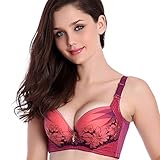 Froomer Womens Sexy Side Support Plunge Push Up Bra Embroidered Underwired Bra