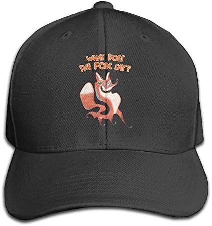 Animals Funny Fox Picture Flat Peaked Snapbacks Caps Limited Edition Graphic Print Cool Hat