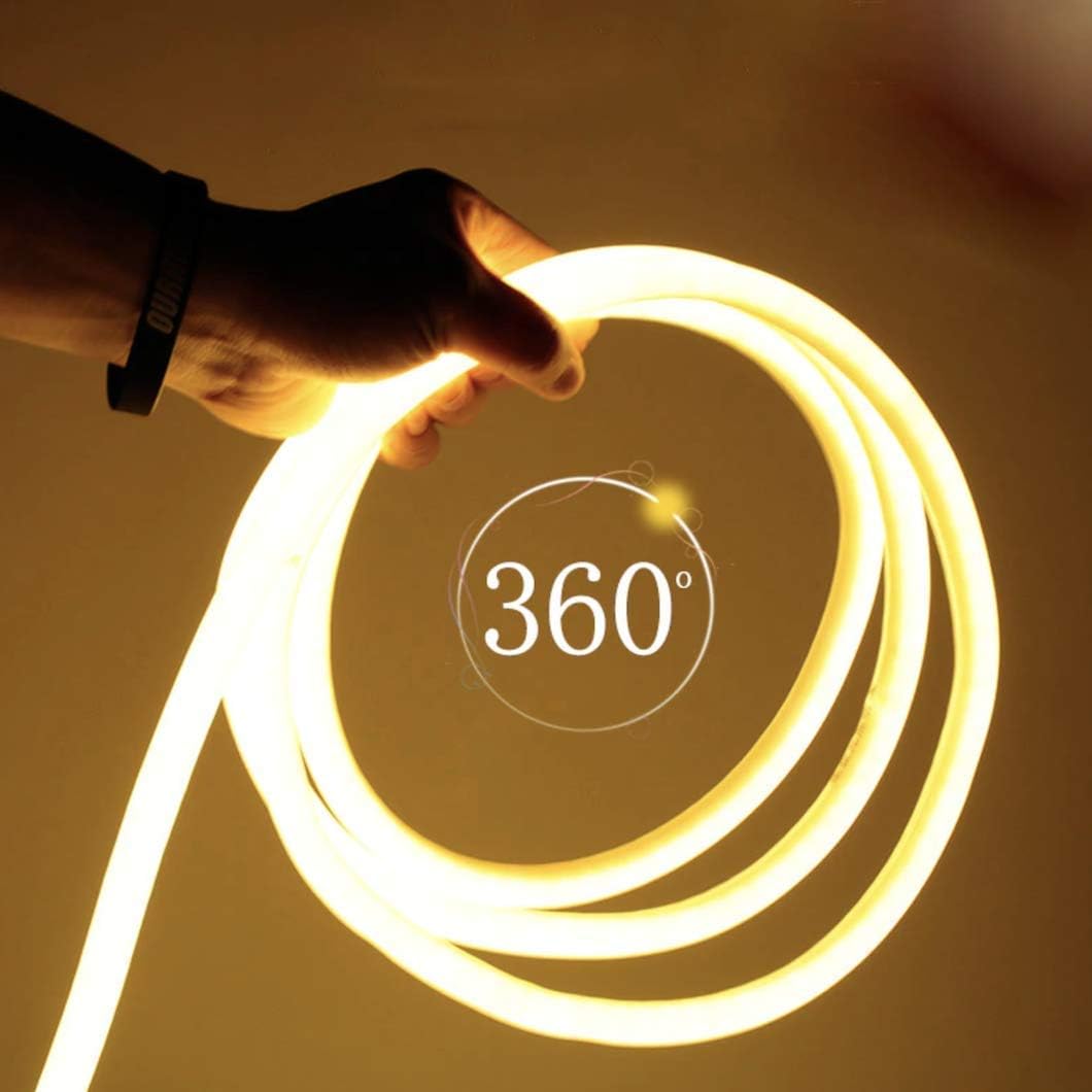 RLG Led Mini Neon Lights, Rope Lights, 8MM Thickness, Update 2835 120Led/M, 220V, Included All Necessary Accessories, Flex Durable Super Bright for Outdoor Indoor Decoration (Warm White) 5 Meter