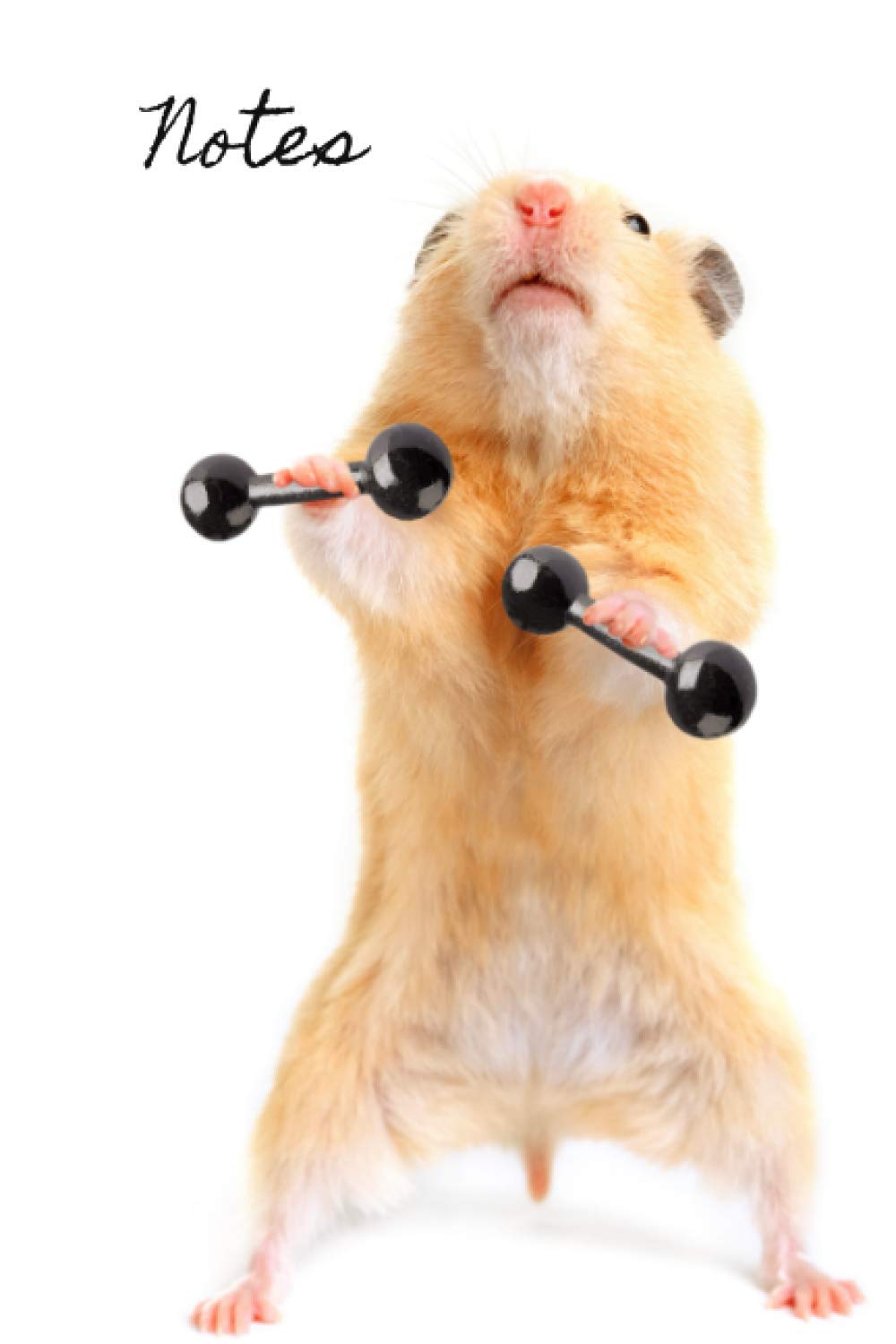 cheeky hamster amazon