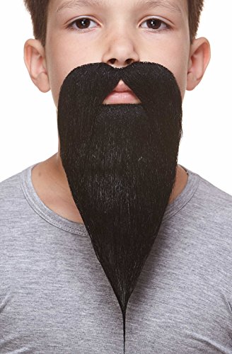Small Philosopher beard