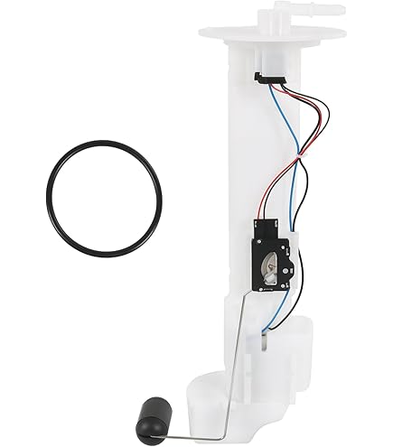 Amazon.com: Dasbecan 49040-0716 Electric Fuel Pump Module