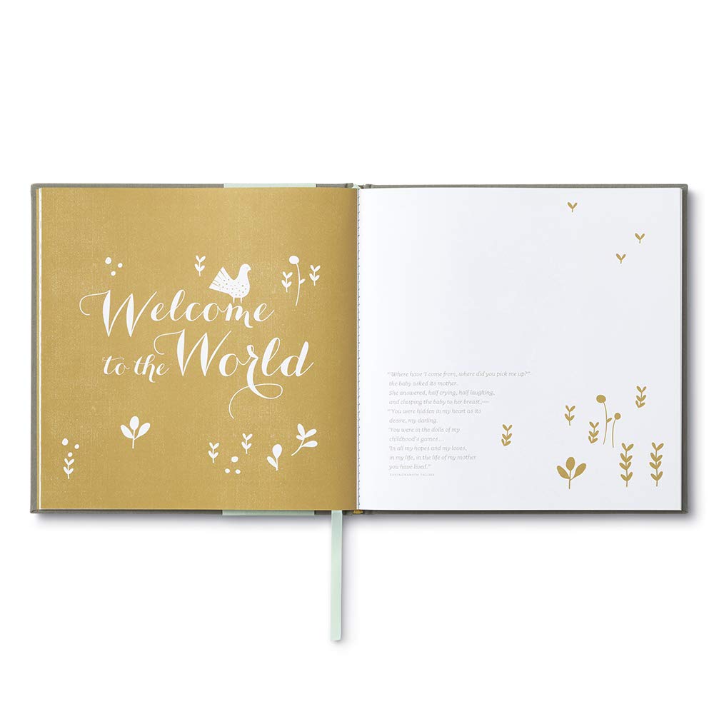 welcome baby book