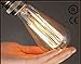 Edison Bulbs 60W Vintage Style Squirrel Cage Filament Incandescent Bulb E26 Base ST64 120V for Home Lighting Fixtures Lamp Lightbulbs Warm Light Dim 2700K 6PACK