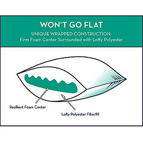 Sertapedic Won't Go Flat Pillows, Set of 2 (Standard) Pricepulse