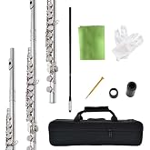 HOGSN flute 16-hole closed-hole C-tone nickel-plated, beginner to play graded flute, with box and cleaning kit.