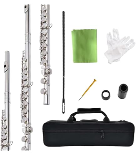 Amazon.com: Hisonic Signature Series 2810N Closed 16-hole Flute