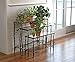 Nesting Branch Plant Stands, Set of 3thumb 1