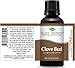 Plant Therapy Clove Bud Essential Oil 100% Pure, Undiluted, Natural Aromatherapy, Therapeutic Grade 30 ml (1 oz)