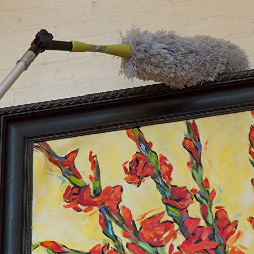 DocaPole 730 Foot Extension Pole + Microfiber Feather Duster // High