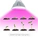 I-PURE ITEMS TM 24W LED Grow Light Bulb, High Efficient Plant Growing Lamps for Garden, Greenhouse, Indoor Gardening,Hydroponic and Family Balcony
