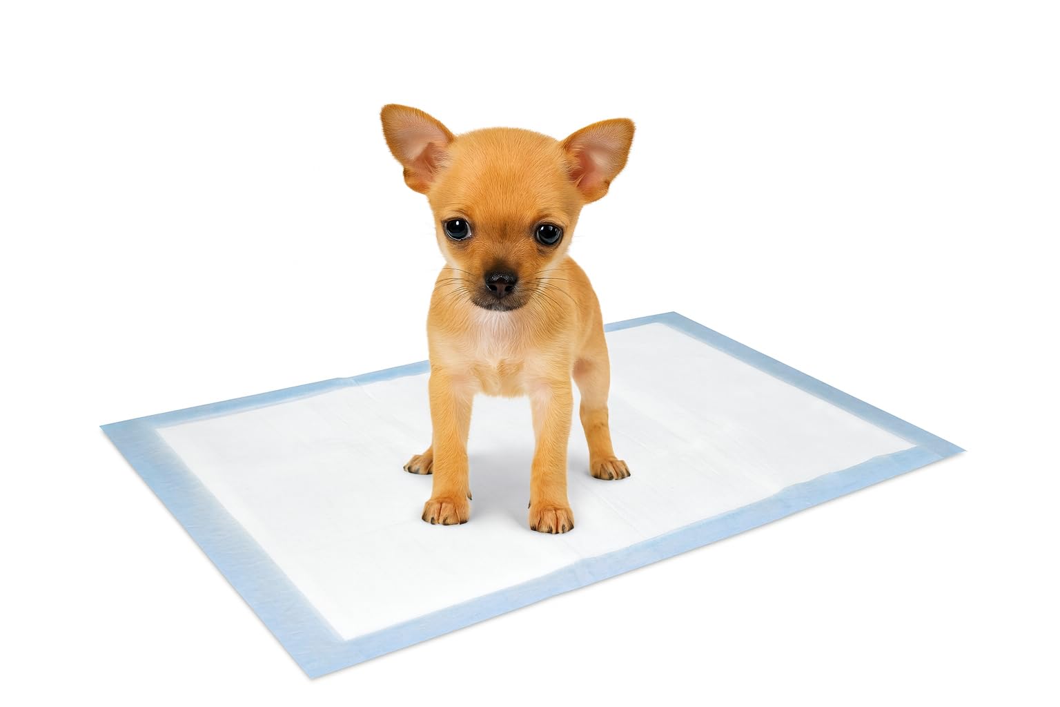 Karlie Flamingo Puppy Pads Trainingspat, 35 x 45 cm, Pack of 10