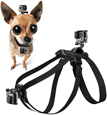 Dog Fetch Harnesses Chest and Back Strap with Puppy Belt Mount for GoPro HERO5/4/3/2/1 SJCAM SJ5000X SJ4000 XIAOMI YI Action Sports Camera Camcorder Accessories by Gizcam