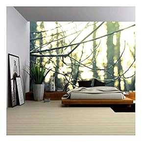 Water Drops on Tree Twig in Fall Forest - Removable Wall Mural | Self-Adhesive Large Wallpaper - 66x96 inches