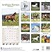 Arabian Horse Calendar - Calendars 2019 - 2020 Wall Calendars - Only Arabian Horses - Animal Calendar - Arabian Horses 16 Month Wall Calendar by Avonside (Multilingual Edition)