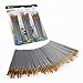 CONDA 50 pcs Assorted All- Purpose Paint Brush Set for Acrylic, Oil, Watercolors