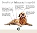 Veterinary Naturals Hemp Oil & Salmon Oil Chews for Dogs - Support HIPS & Joint - Best Source of Omega 3 - Fish Oil for Dog’s Shiny Coat & Itch Free Skin - 60 Soft Chew Dog Joint Supplements