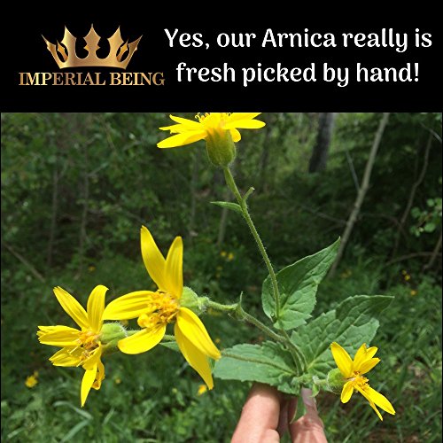 Royal Arnica Oil Rapid Recovery Formula Organic Super Premium
