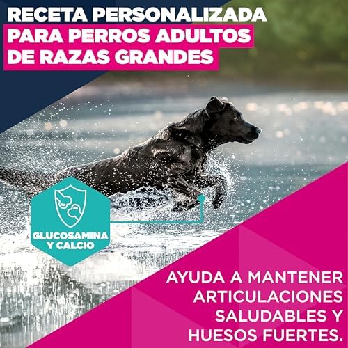 , alimento seco para Perros con Pollo Fresco para Razas Grandes - Alimento seco Premium para Perros Adultos, 15 kg
