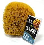The Natural Sea Sponge, 6 to 7-Inch, Yellow