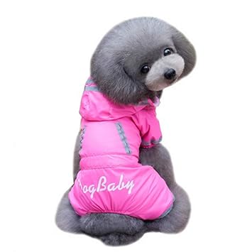 abbigliamento cani kappa