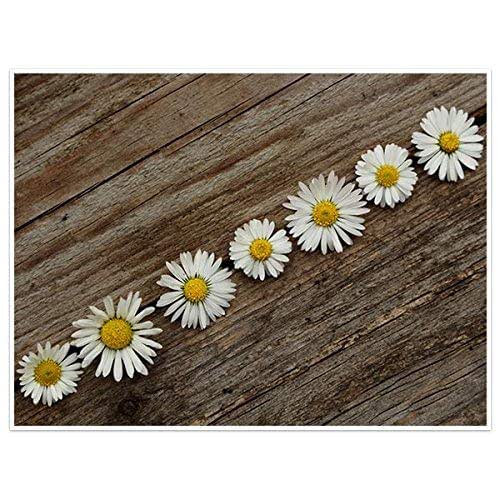 Daisies Wall Art Poster Handmade Products