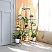 Multilayer Metal Plant Stand 9 Tier Shelf Unit Garden Patio Display Rack Holder for Potted Planters Indoor Outdoorthumb 3